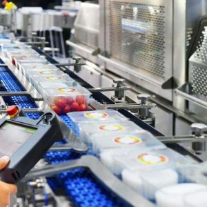 professional providing an in-house and preliminary food assessment